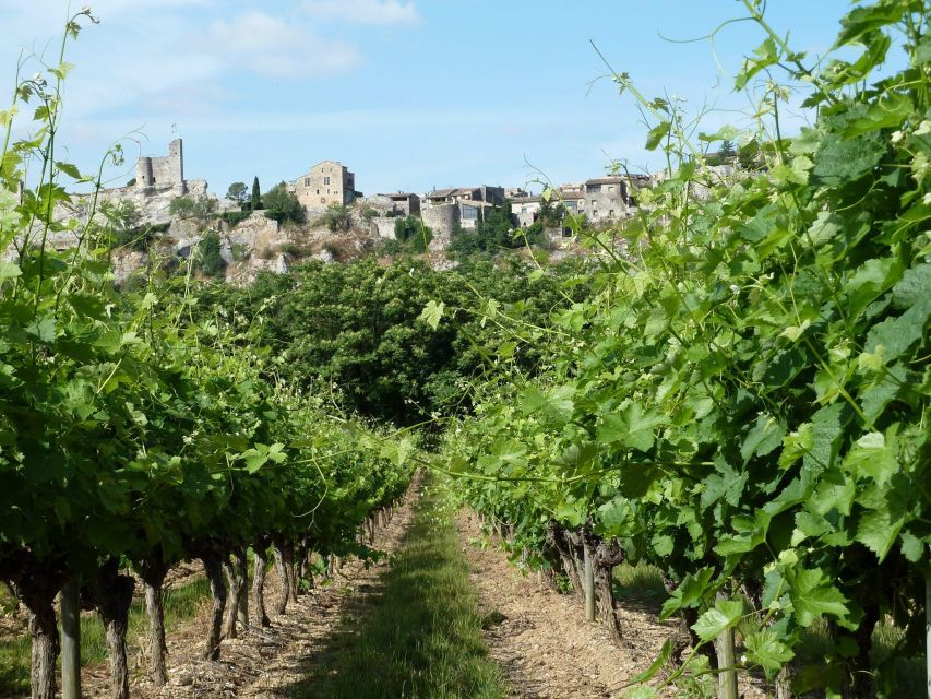 Saint-Martin-d'Ardèche: Electric Bike Wine Tour & Tasting - Tour Essentials