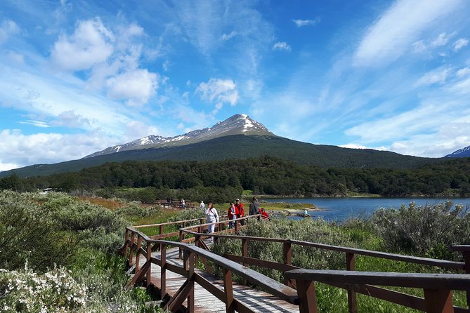 Shore Excursion - National Park Tierra Del Fuego - Inclusions and Logistics