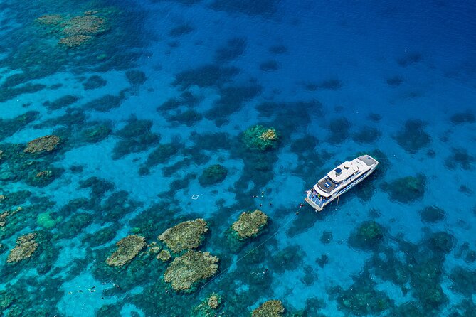 Silverswift Dive and Snorkel Great Barrier Reef Cruise