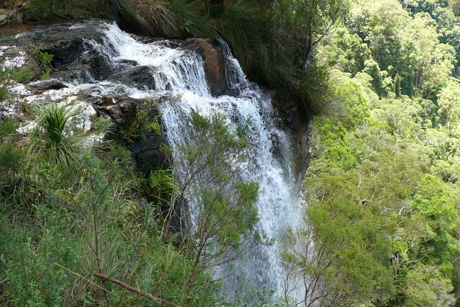 Springbrook, Natural Arch & Numinbah Valley + Hot Air Balloon With Breakfast - Champagne Breakfast Delights