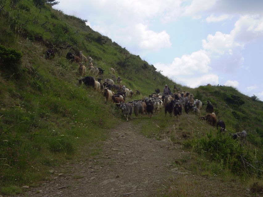 Vikos Gorge Beloi Viewpoint 3-Hour Hike - Overview of the Hike