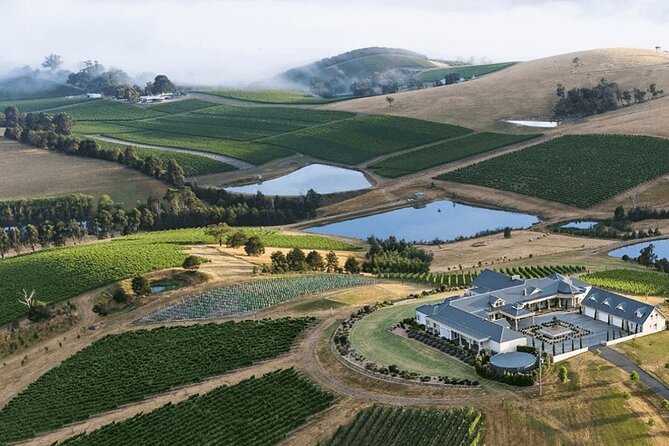 Winery Lunch by Helicopter to Levantine Hill in Yarra Valley