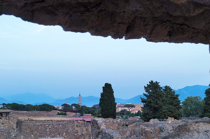 2 Hours Private Tour in Pompeii With Archaeologist - Tour Itinerary