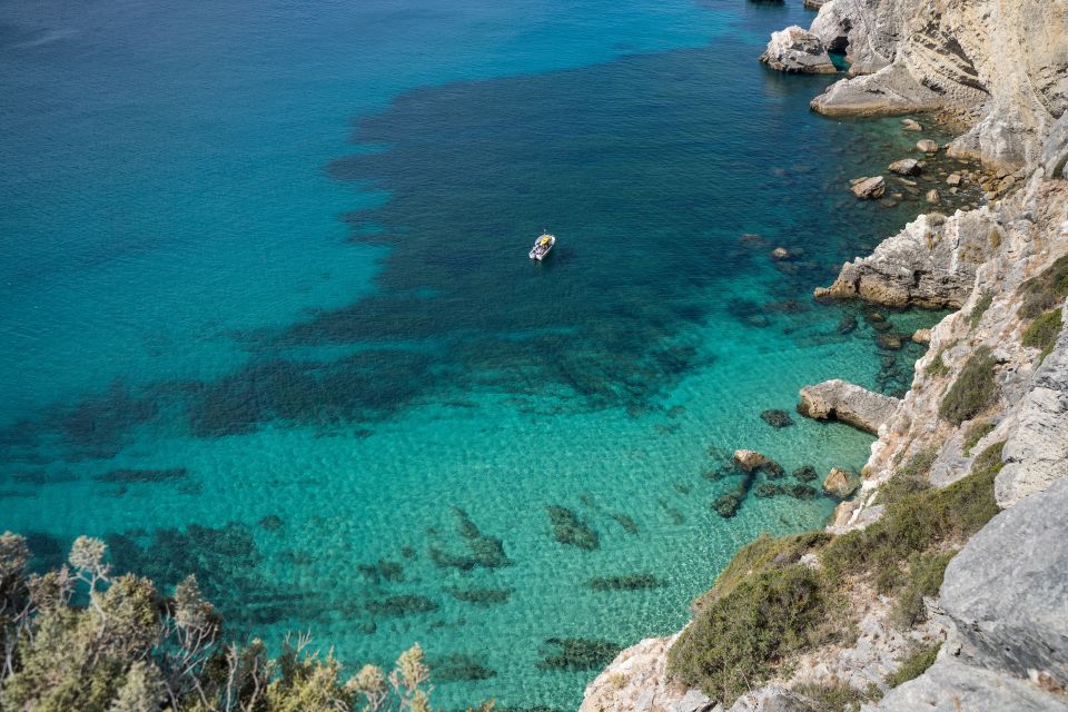 Arrábida: Boat Tour Along the Heart of Sesimbra - Activity Highlights