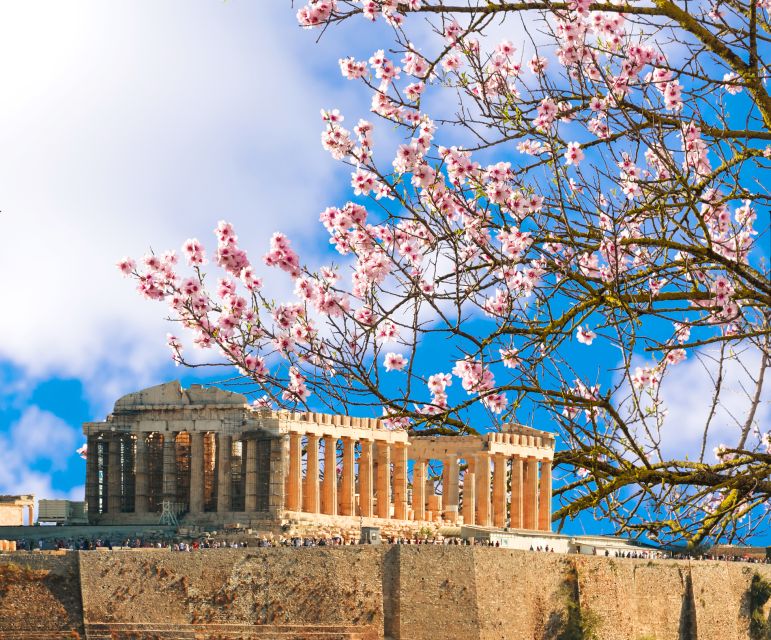 Athens: Top Sights Private Half-Day Tour - Tour Experience