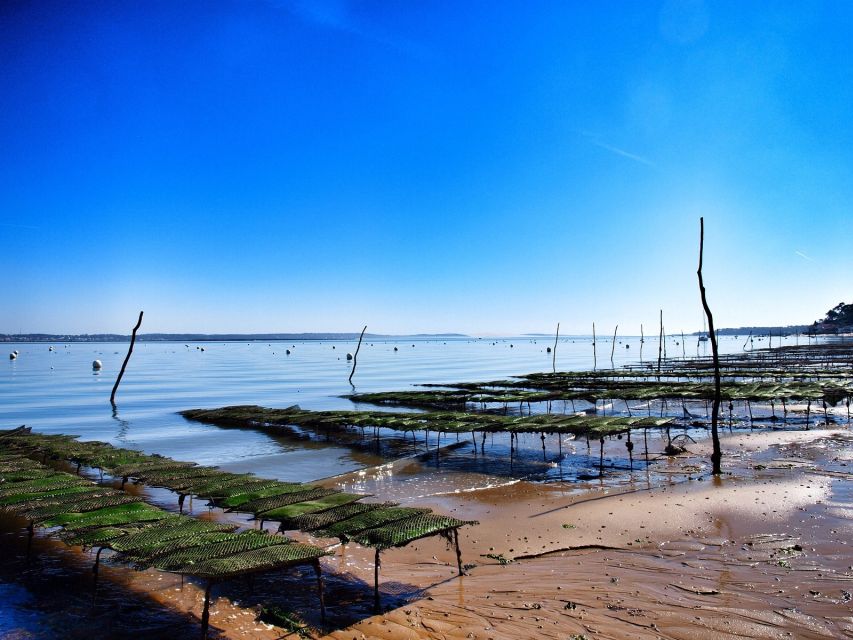 Bay of Arcachon: Guided Food Tour - Booking Information