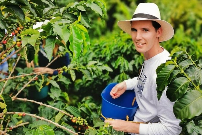 Coffee Private Full-Day Tour in the Beautiful Jardin Town - Safety and Health Guidelines