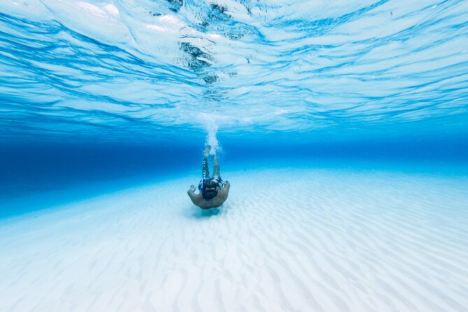 Cozumel Snorkel Tour: Coral Reefs, El Cielo & Beach Break - Participant Requirements and Safety Guidelines