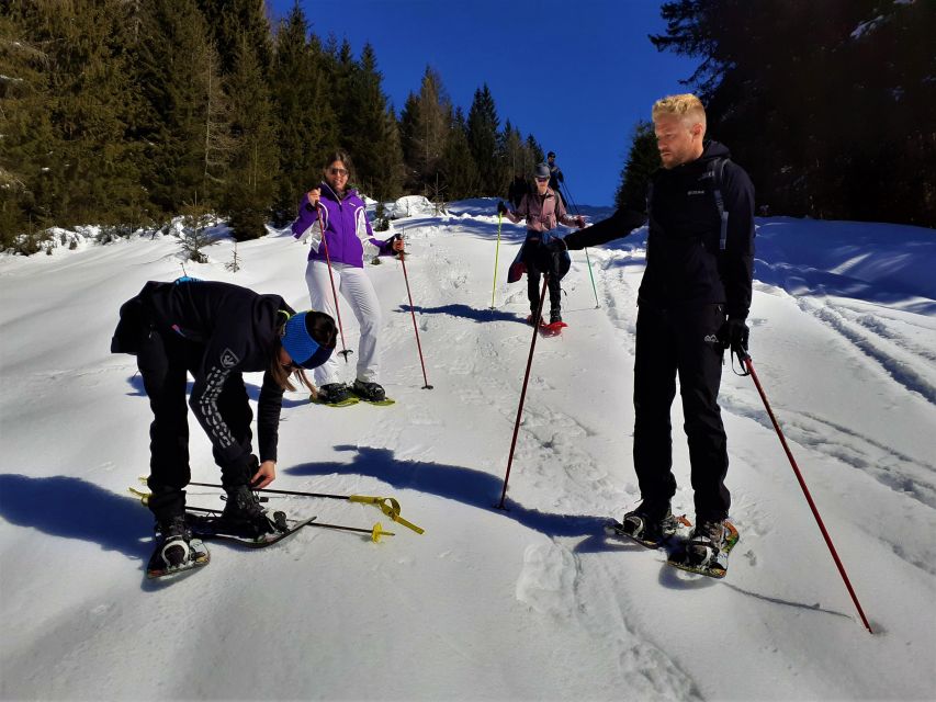 Dolomites Snowshoes Winter Hike - Inclusions