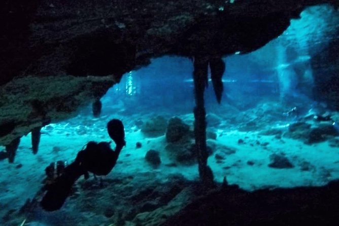 Dos Ojos Cenote Cavern Dive- The Barbie Line and The Bat Cave - Light Effects and Formations