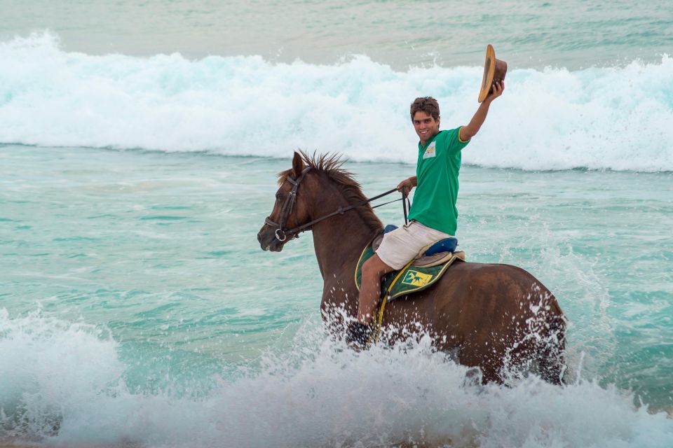 From Evora: Horseback Riding on Comporta Beach - Booking Information