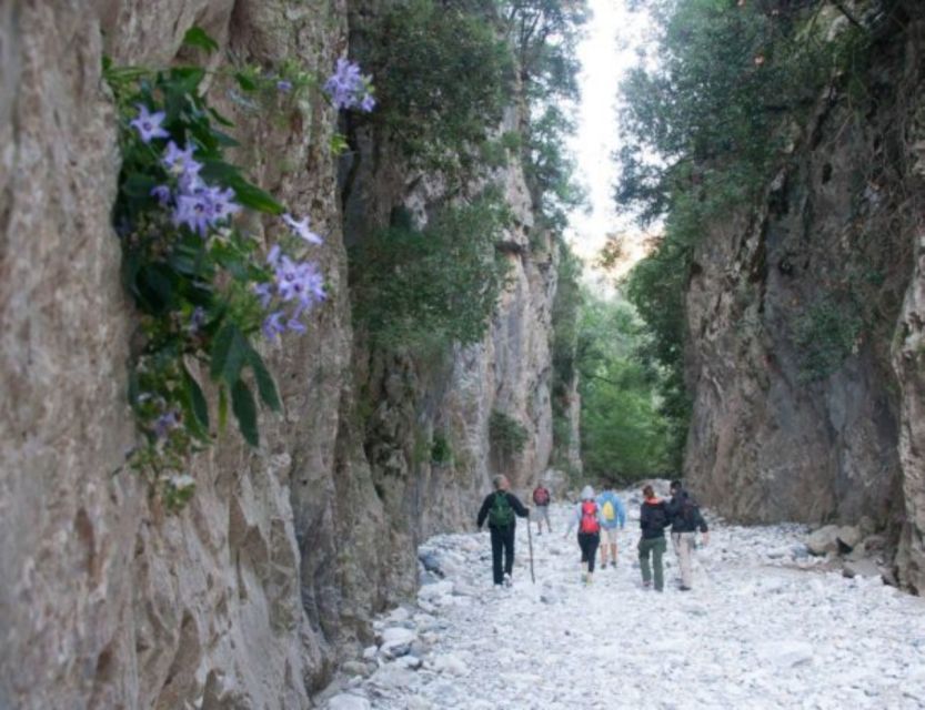 From Kalamata: Ridomo Gorge Hiking Tour With Greek Coffee - Hiking Route Details