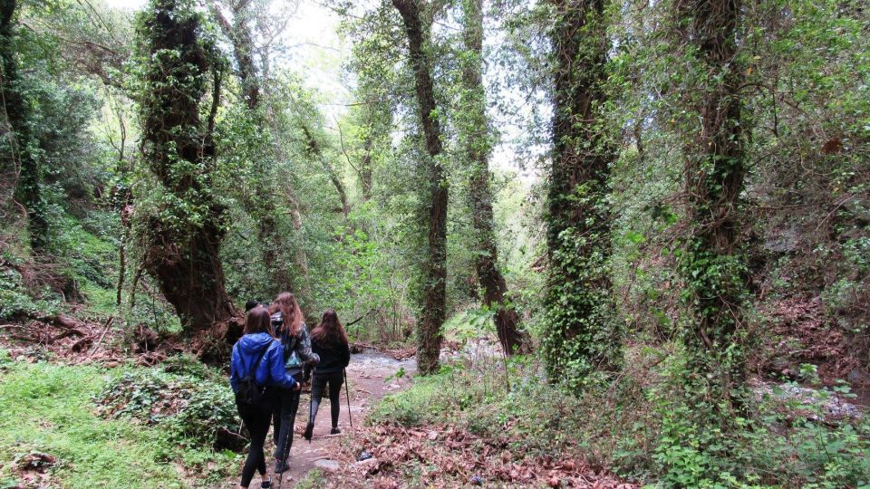 From Lasithi Area: Richtis Gorge Experience - Inclusions