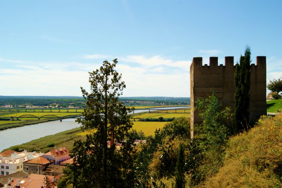 From Lisbon: Alentejo Coast Full-Day Private Tour - Location and Provider