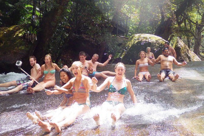 Fun, Falls and Forests Day Trip From Cairns - A Day of Waterfalls and Wonders