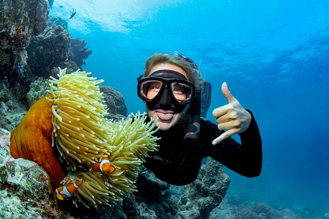 Great Barrier Reef Diving and Snorkeling Cruise From Cairns - Cruise Details and Schedule