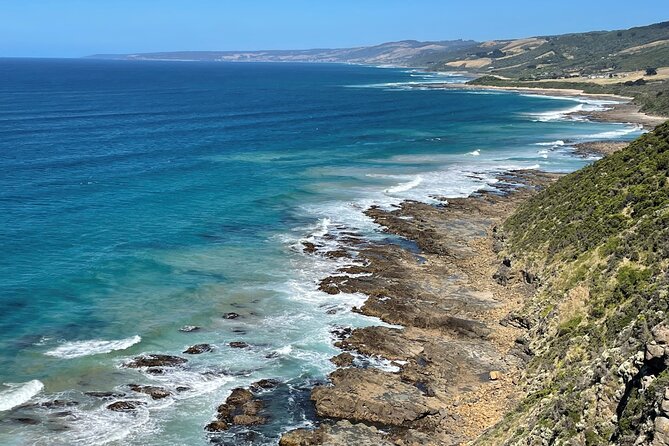 Great Ocean Road Morning at 12 Apostles Scenic Melbourne Day Tour - Morning Pickup and Departure