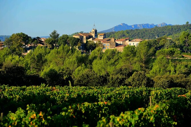 Guided Tour of a Winery in Vacquières With Wine Tasting - Additional Information