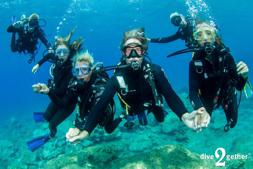 Half Day Scuba Diving Experience - No Experience Needed - Experience Highlights