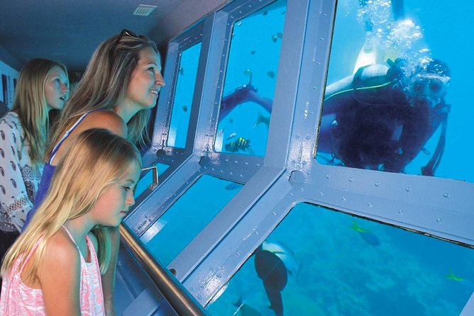 Helicopter & Cruise Great Barrier Reef Package From Port Douglas - Itinerary Highlights