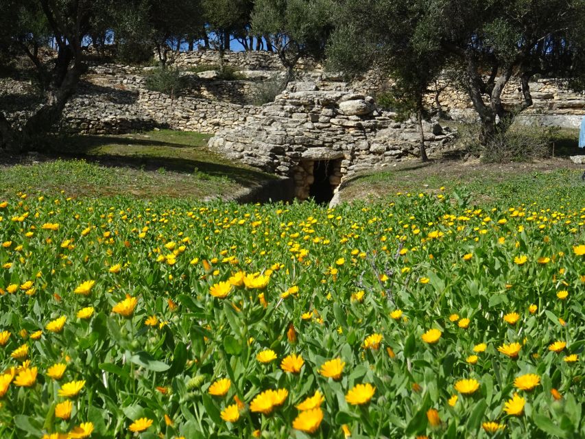 Heraklion: Springtime Plant Walk and Birdwatching in Nature - Detailed Itinerary