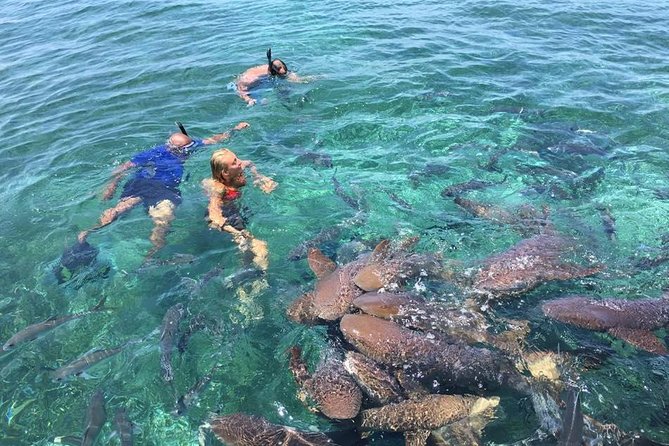 Hol Chan Marine Park and Shark Ray Alley Snorkeling - Booking Details and Experience