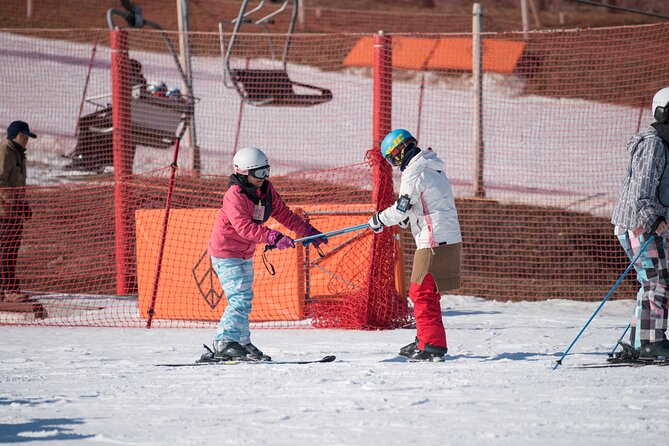 Jisan Forest Ski Resort One Day Tour With Basic Lesson - What to Expect on the Tour