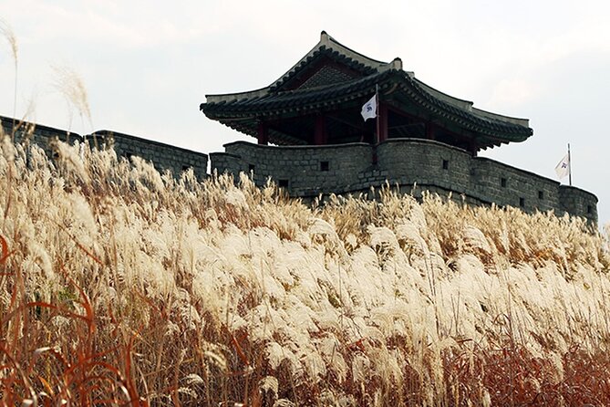 Korea Virtual Tour From Suwon, PEACEFUL Borders Ktourtop10 - Tour Details and Requirements