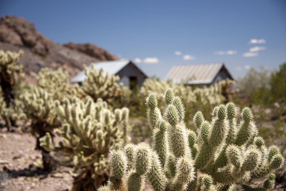 Las Vegas: Eldorado Canyon Gold Mine Tour - Accessibility