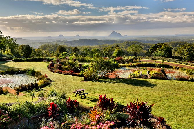 Maleny Botanic Gardens Bird Aviary Experience Ticket - What to Expect Inside