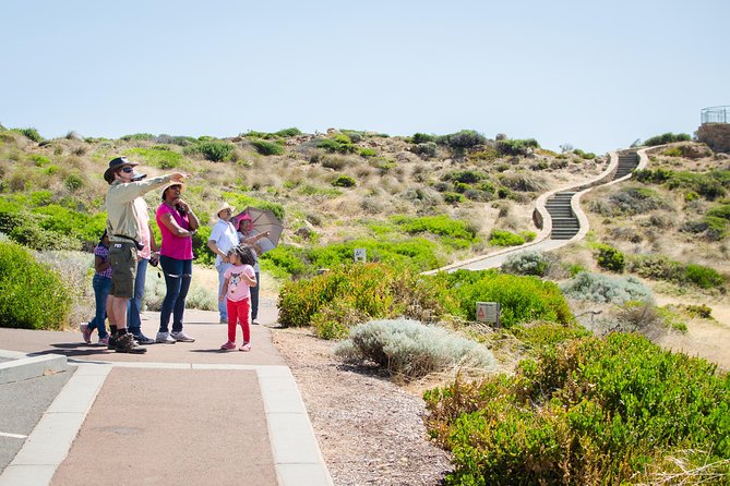 Margaret River Coastal and Wildlife Eco Trip From Busselton or Dunsborough - Unforgettable Wildlife Encounters Await