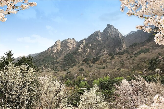 Mt. Seorak+Nami Island+Garden of Morning Calm Day Trip From Seoul - Whats Included and Excluded