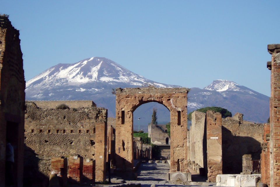 Naples: Pompeii, Herculaneum and Mt. Vesuvius Private Tour - Tour Experience