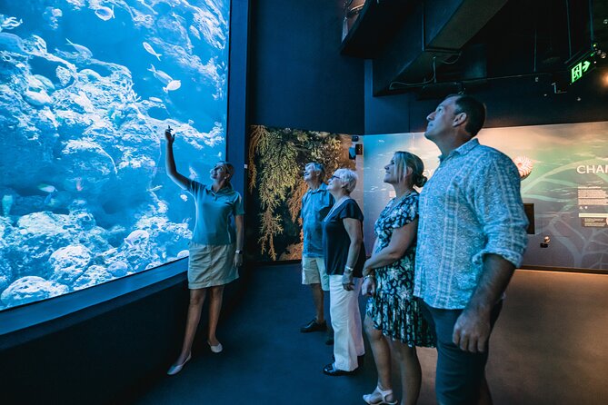 Night at the Aquarium Tour - Accessibility and Amenities