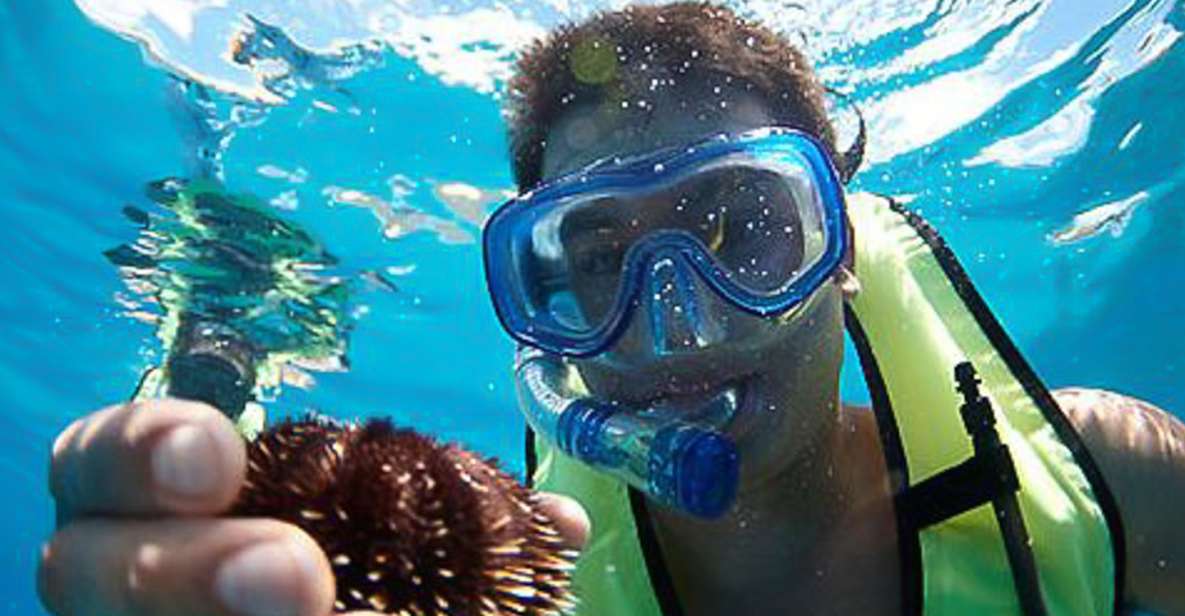 Oahu: Hilton Hawaiian Village Morning Snorkel With Lunch - Experience Highlights