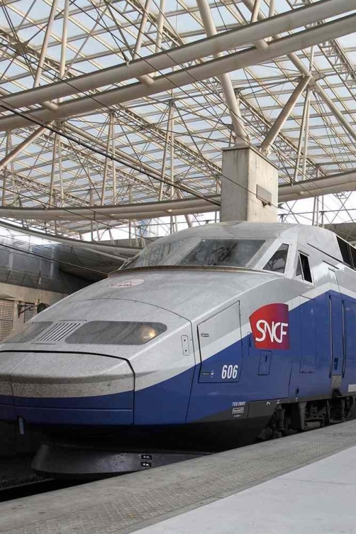 Paris Private Arrival Transfer: Railway Station to Hotel - Transfer Details and Inclusions