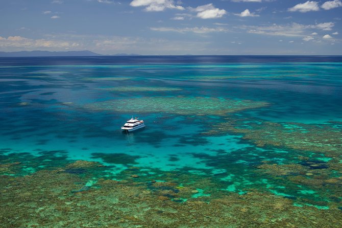 Poseidon Outer Great Barrier Reef Snorkeling and Diving Cruise From Port Douglas - What to Bring and Wear