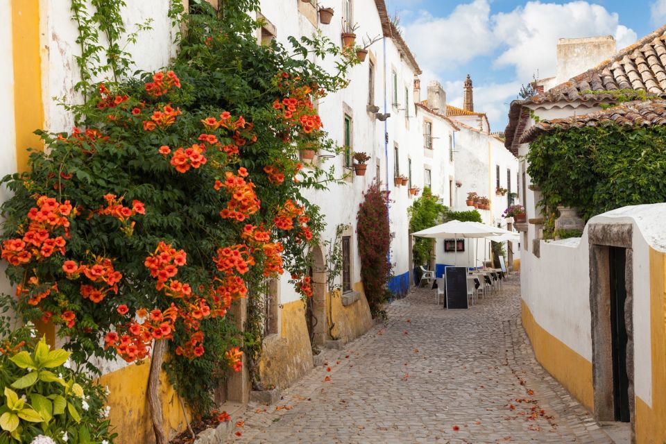 Private Obidos, Nazare, Alcobaça and Mafra Full Day Tour - Tour Details