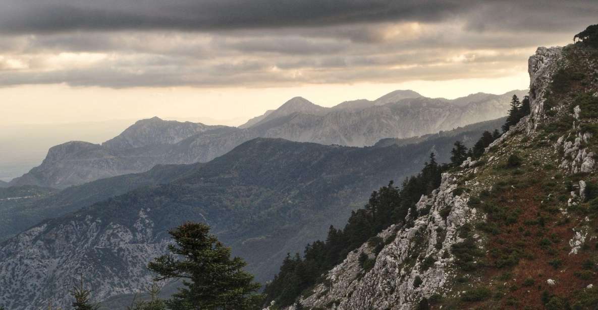 Private Tour in the Chestnut Forest of Steni Evia - Inclusions