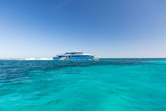 Rottnest Island All-Inclusive Grand Island Tour From Perth - What to Expect on Tour