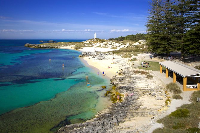 Rottnest Island Fast Ferry From Hillarys Boat Harbour Including Bike Hire - What to Expect on Tour