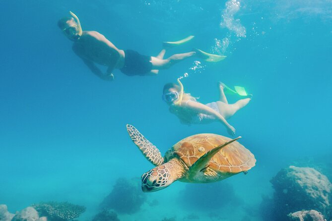 Snorkelling and Glass Bottom Boat at Green Island From Cairns - Tour Details and Essentials