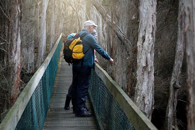 Spend a Day in One of Tasmanias Best Wildlife National Parks - Tasmanian Wildlife Up Close