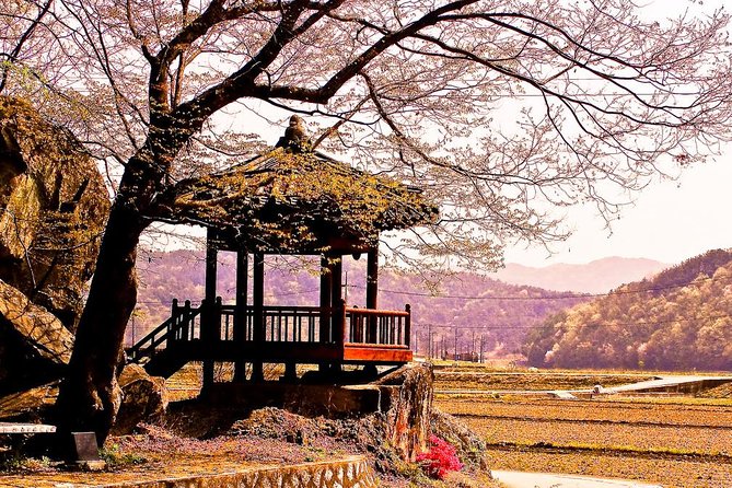 The Beauty of the Korea Cherry Blossom Discover 9days 8nights - Itinerary and Logistics Details