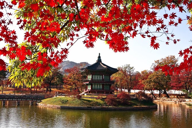 The Beauty of the Korea Fall Foliage Discover 9days 8nights - Exploring Koreas Hidden Gems