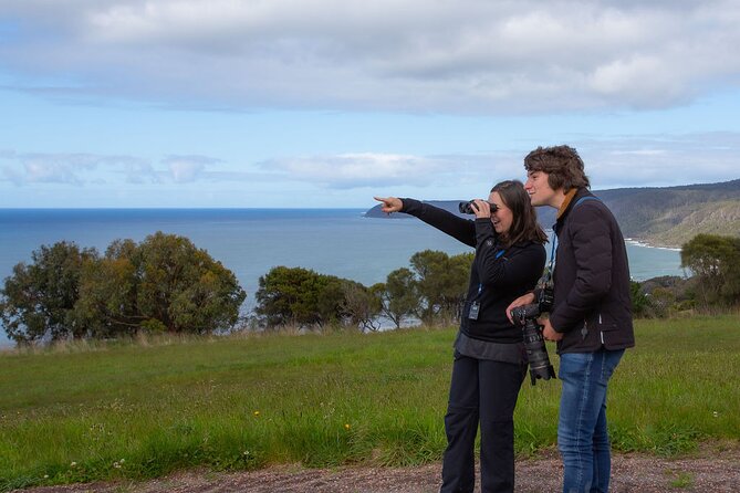 Walk With Wildlife: Guided Tour in Great Ocean Road - Wildlife and Bird Spotting Adventure