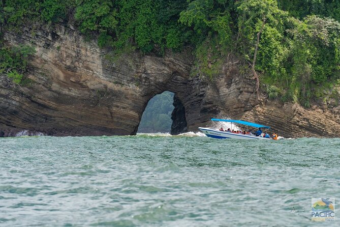 Whale Watching at the Marino Ballena National Park - Traveler Experiences