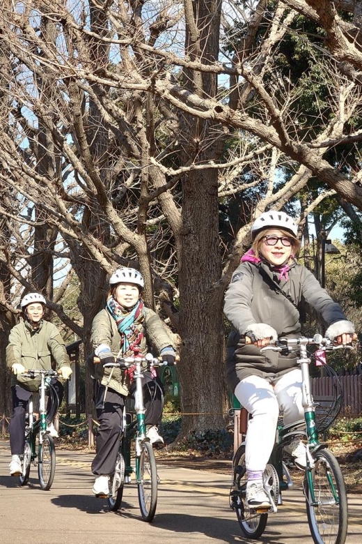 3-Hour Private E-Bike Tour Fr Shinjuku, Start at Your Hotel - Activity Details