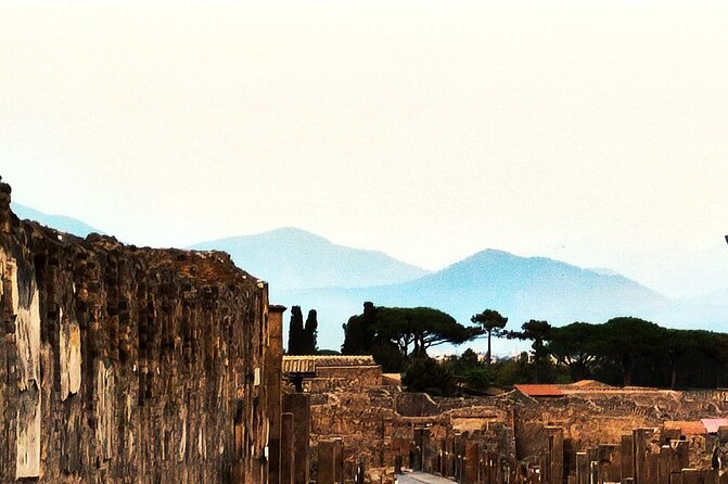 2 Hours Private Tour in Pompeii With Archaeologist - Archaeologists Insights