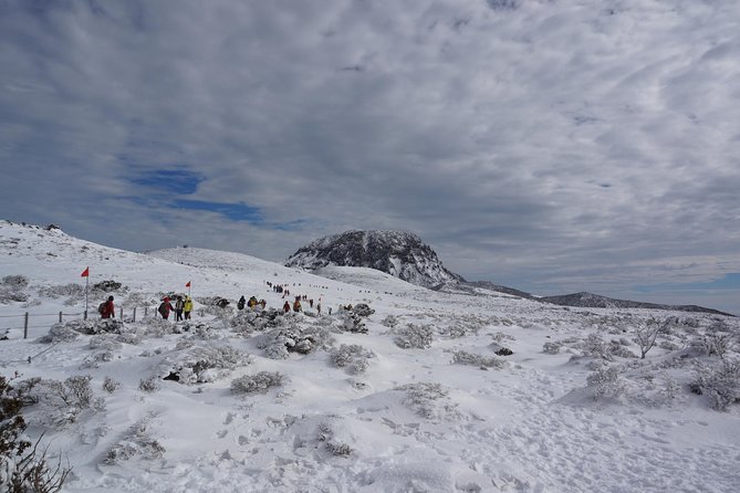 [5-Days Jeju] Private Customized Hiking(Hallasan & Olle Course) With Mountaineer - Essential Preparation Tips